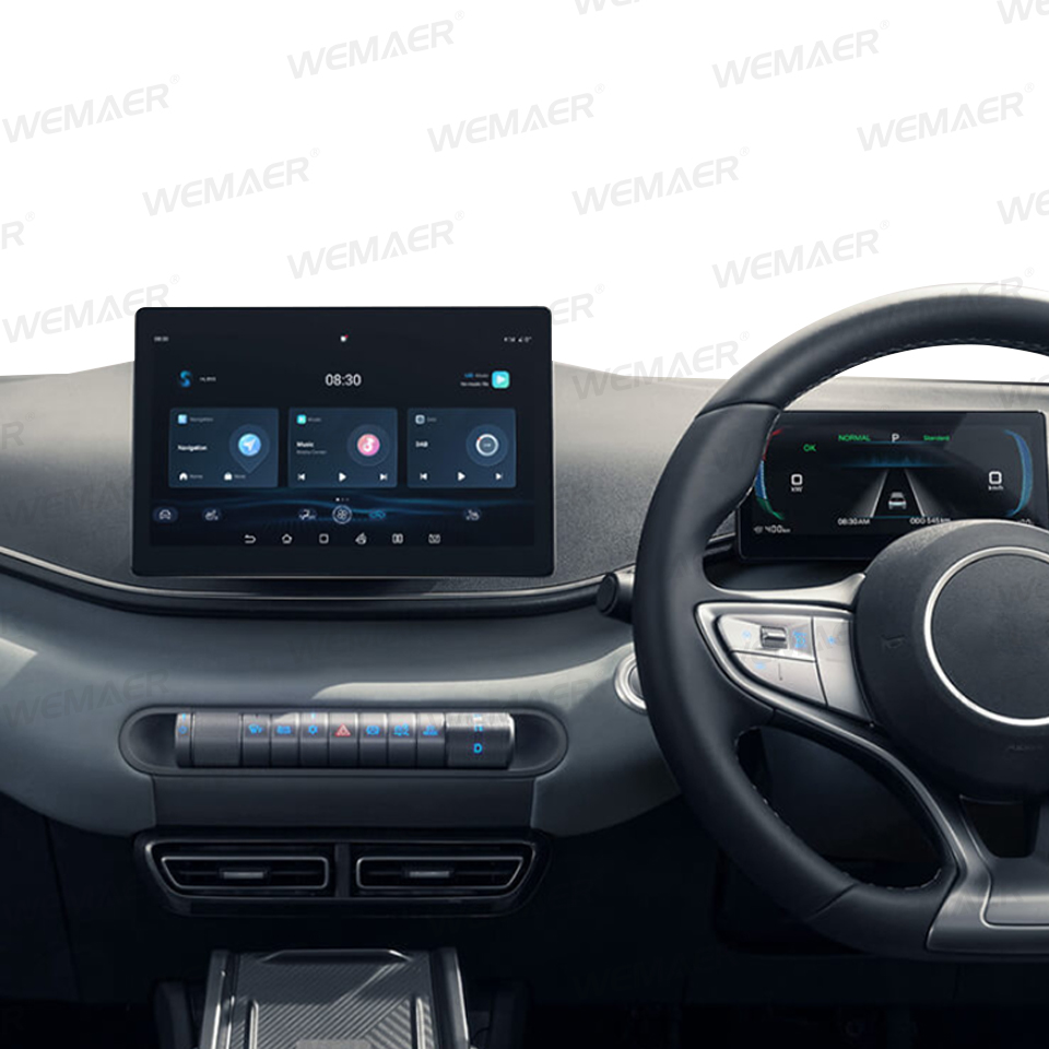 Sistema de cámara Wemaer 1080P - 360 Degree Bird View Car Camera System reseña y precio